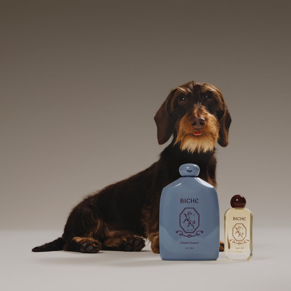 The Ritual - Coat Care Set